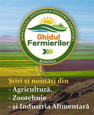 Odoo text and image block