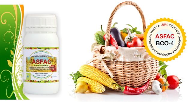 Odoo text and image block