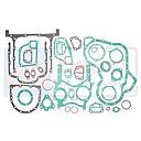 Set Inferior Garnituri