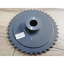 Pinion 748432.0 z40/16