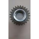 Pinion Z24 G199104080800, 312103080040