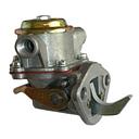 Pompa alimentare 24/100-13