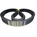 Curea Gates 84035748