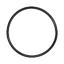 O-ring