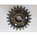 Pinion Z22