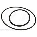 Set Oring RE47294