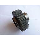 Pinion Z-33/20