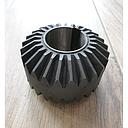 Pinion Z-25 D-45mm