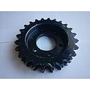 Pinion Dublu Z-24
