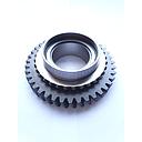 Pinion z.40