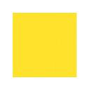 Vopsea Galben Welger 0.75l