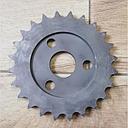 Pinion Org Z-24