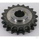 Pinion Dublu Z-19 BR1055